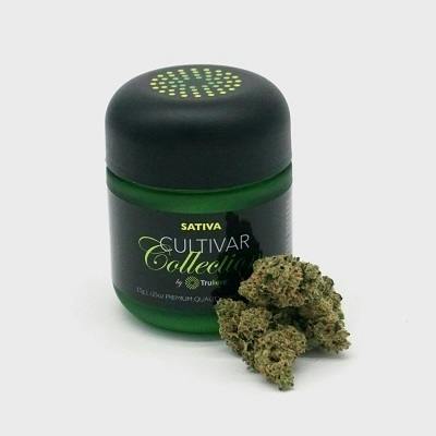 Top Shelf | Pink Certz | Cultivar Flower
