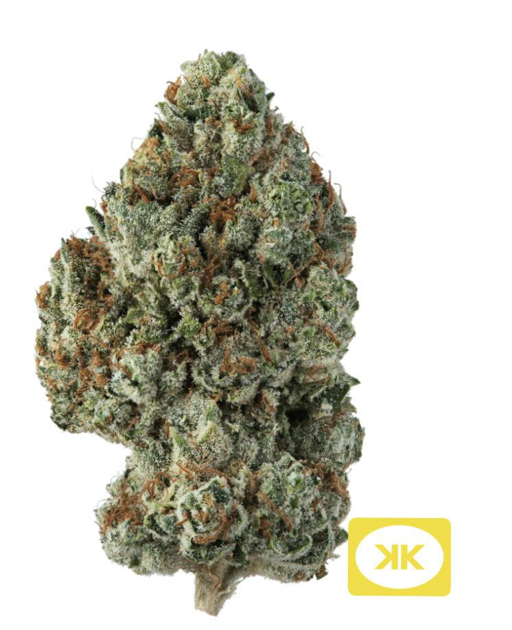 Top Shelf | Baby Turtle | Khalifa Kush