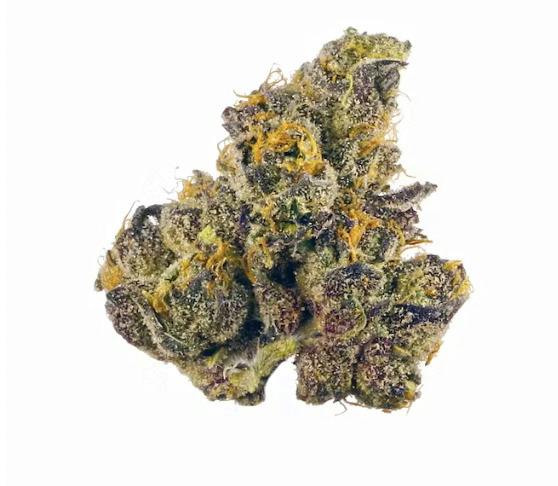 Top Shelf | Hot Wing | Curio