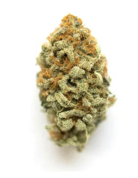 Special | Banana Hammock | Curio