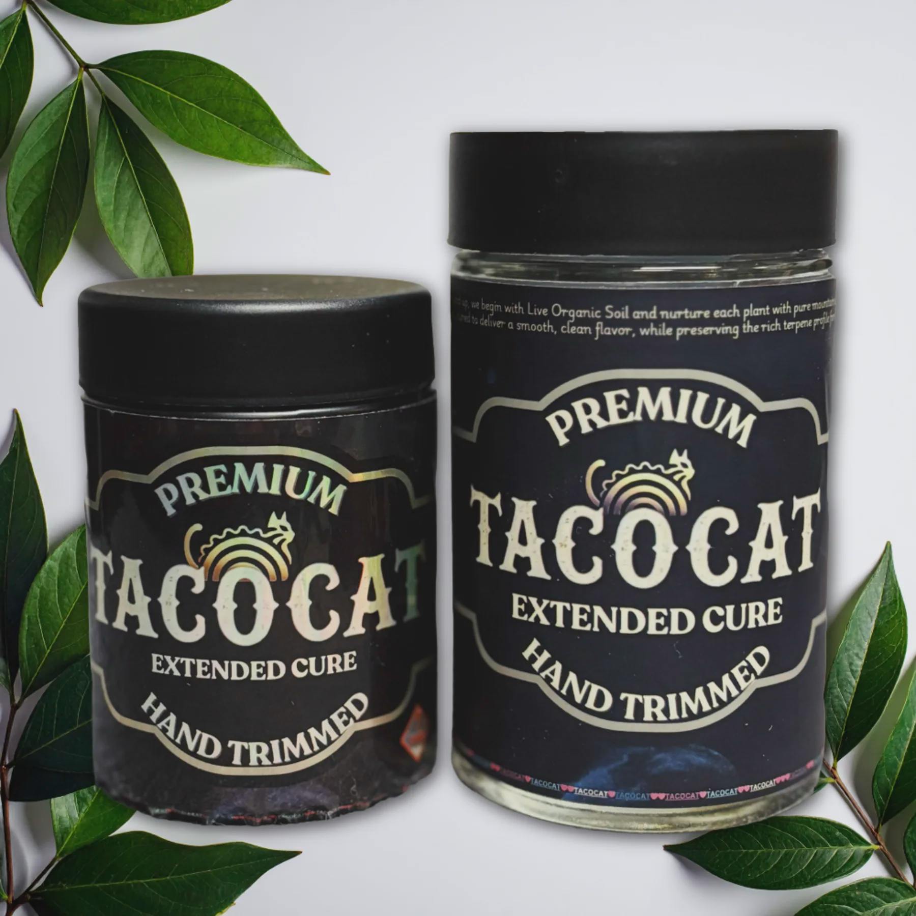 TACOCAT | Trich Beast | 3.5G