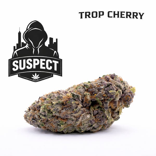 Premium Small Bud Flower | Trop Cherry | Hybrid | 2g
