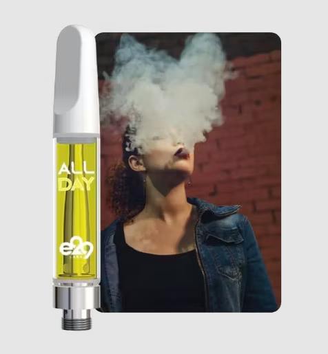 E29 Labs | All Day | Guava Z | Vape Cart | 1g at Easy Jay's Cannabis