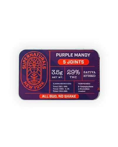 Purple Mandy Dominant