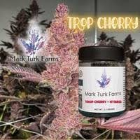 Mark Turk Trop Cherry