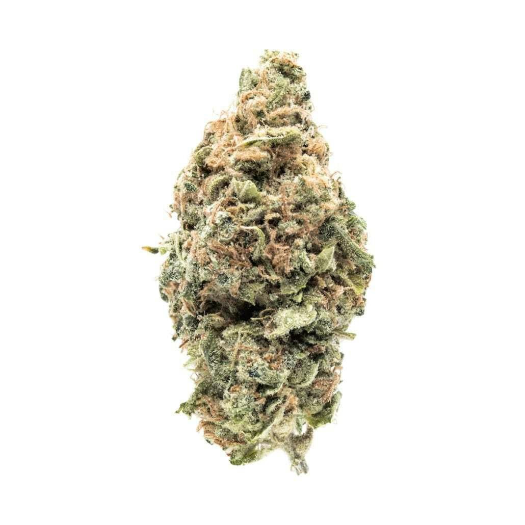 Jenny Kush's - Jenny Kush (3.5g) *NOT REDEEMABLE*