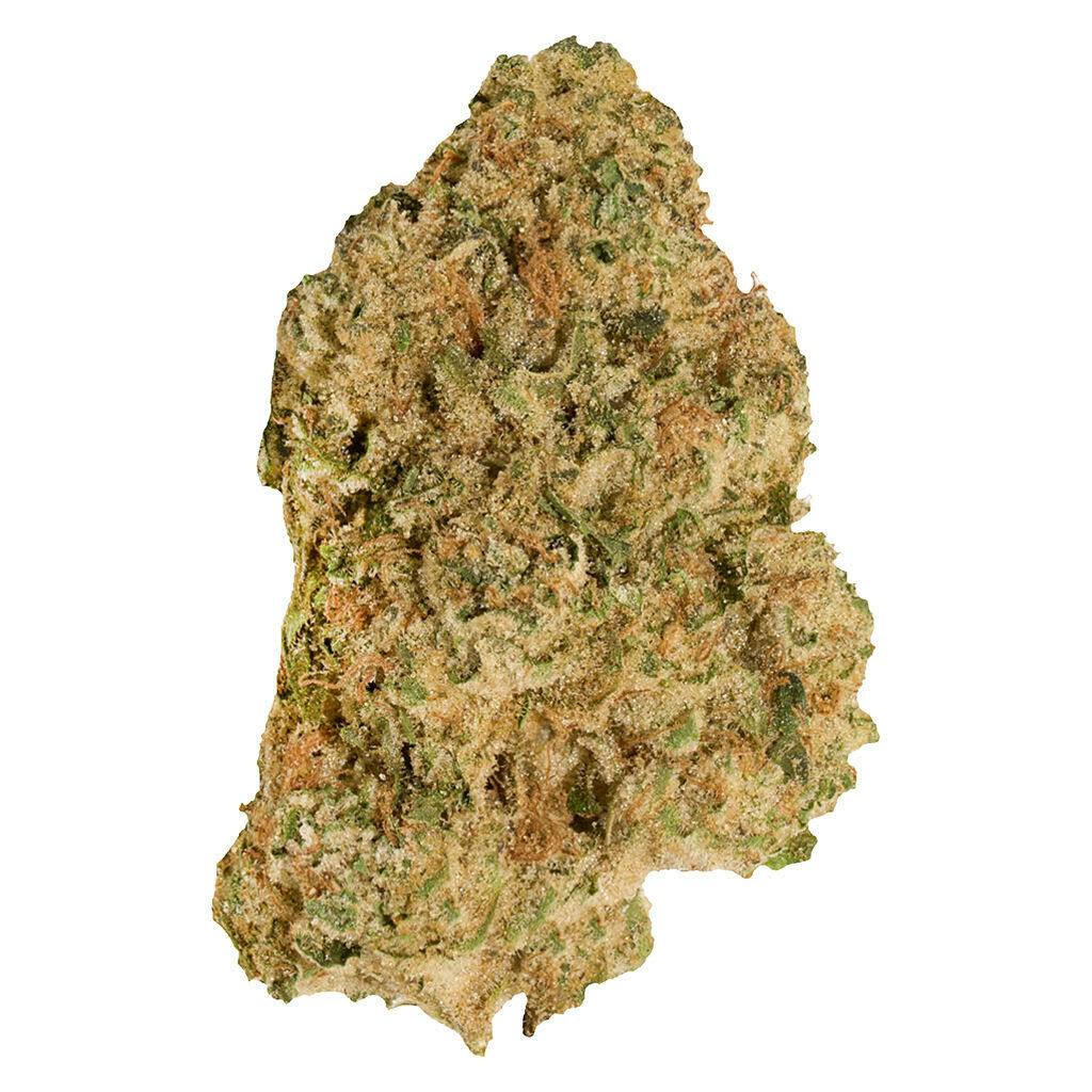 Neon Lotus 3.5g Flower | Good Supply