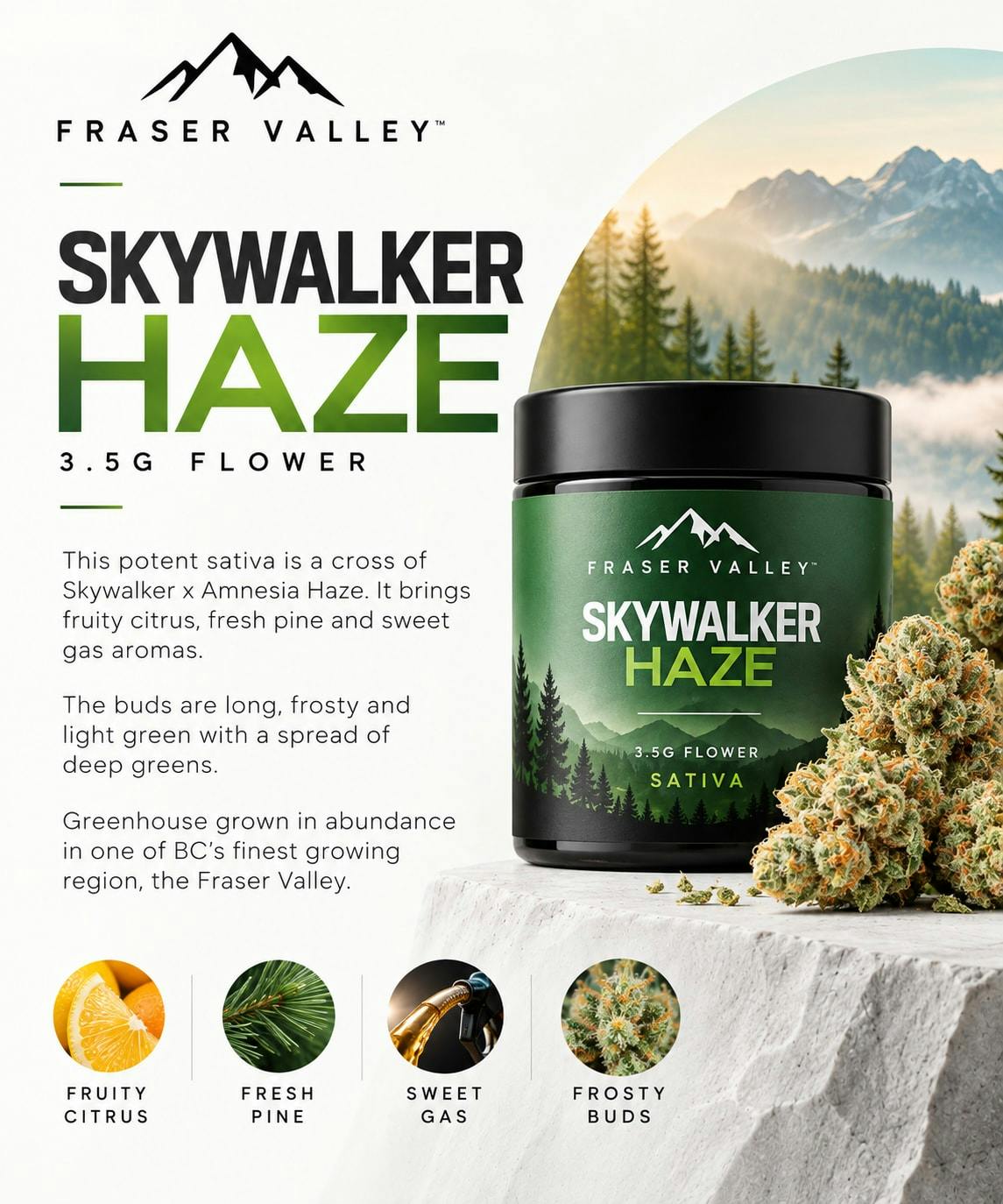 Skywalker Haze 3.5g Sativa Flower | Fraser Valley
