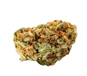 SKOSHA - Crab Cakes 7g - Dried Flower