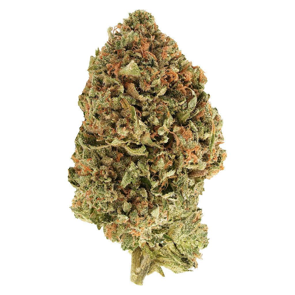 BC Organic Tea Time #7 28g Dried Flower