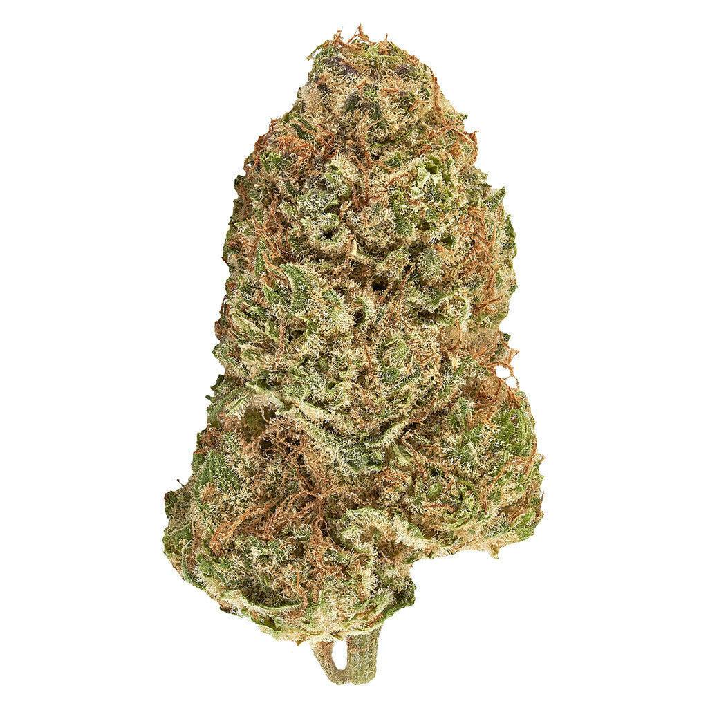 Carnaval Cannabis - Big Bang Sativa Smallz 14g Dried Flower