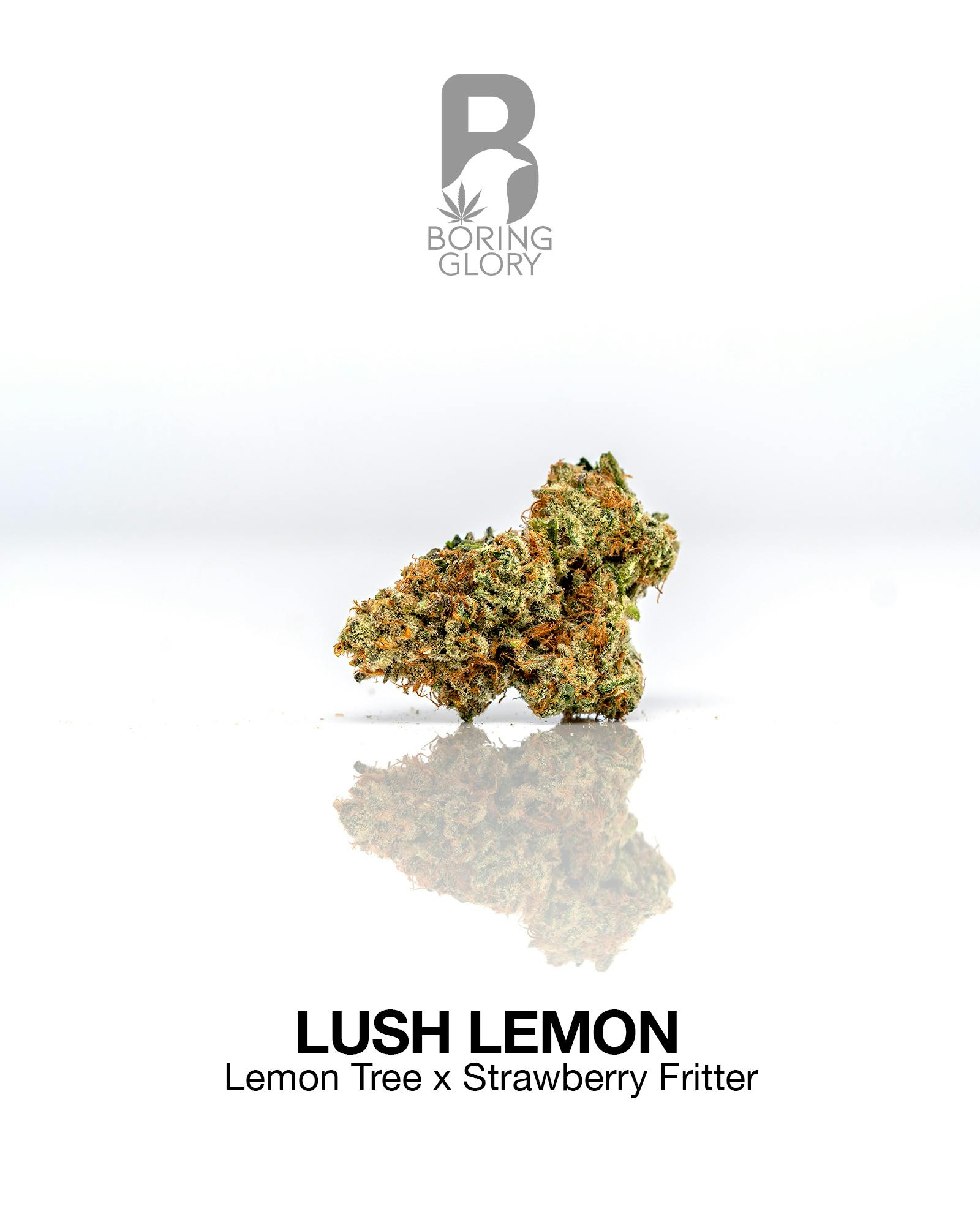 Lush Lemon by Boring Glory