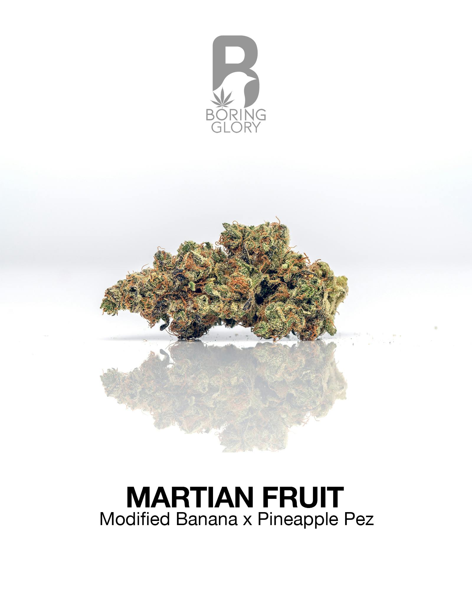 Martian Fruit by Boring Glory
