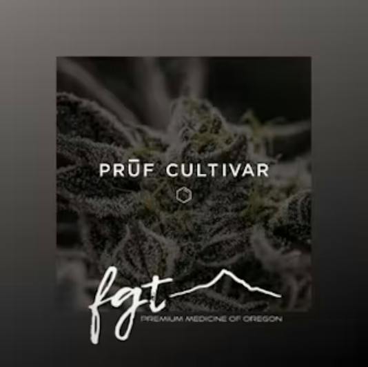 God's Breath by Pruf Cultivar