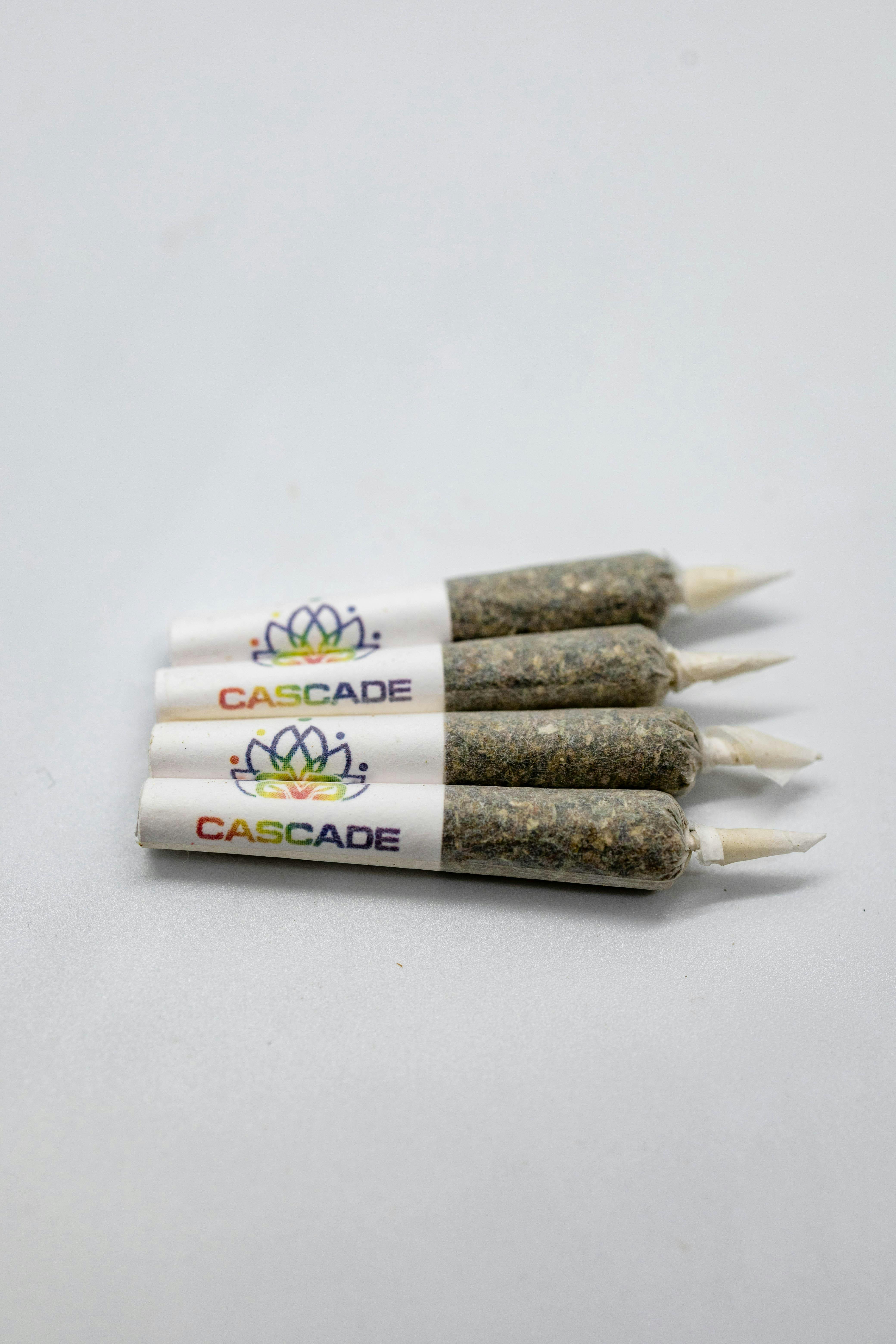 CV 4pk SNOWLAND prerolls