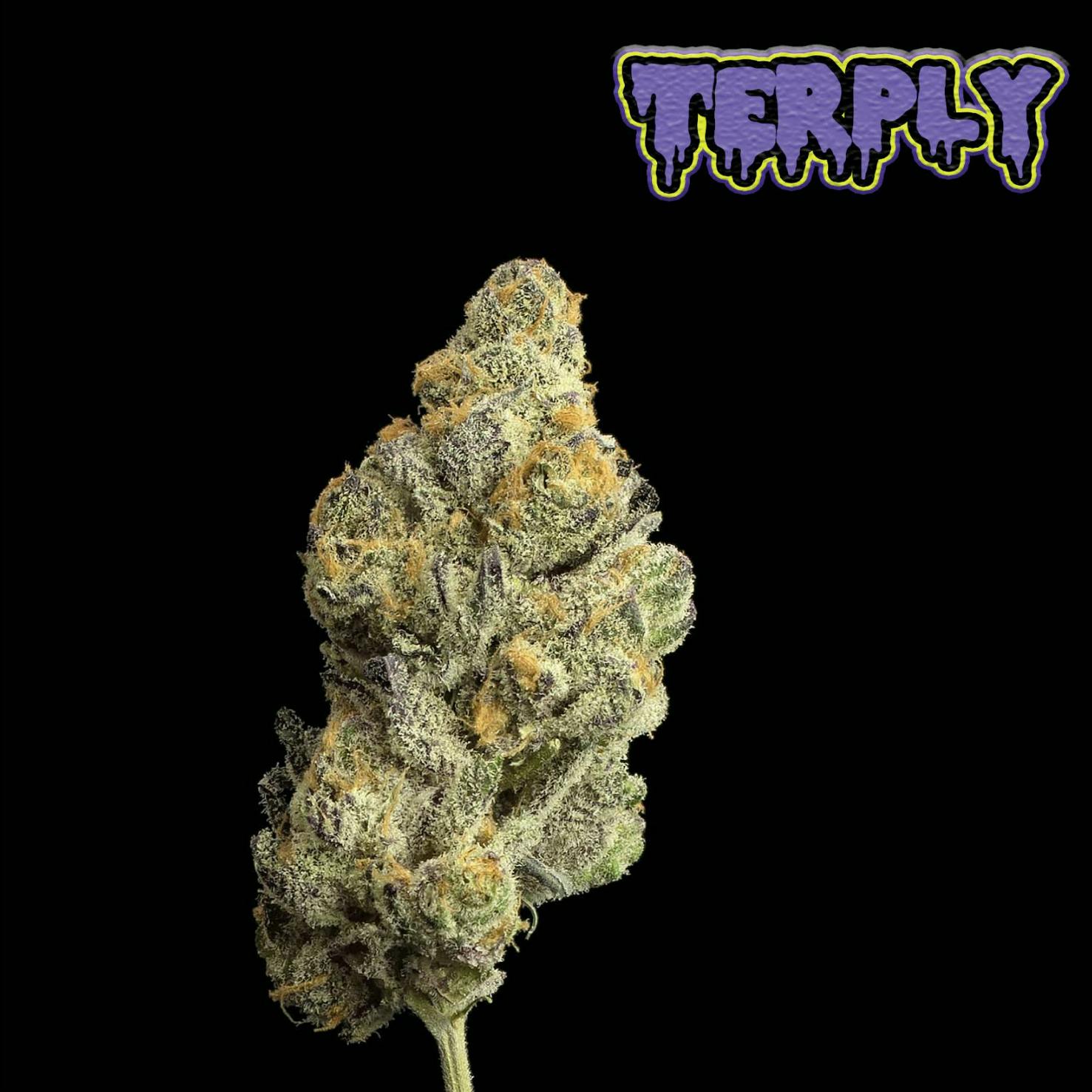 Terply by PDX Organics