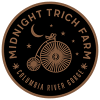 Dream Factory by Midnight Trich