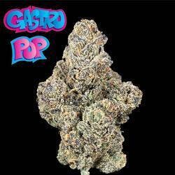 Gastro Pop by PDX Organics