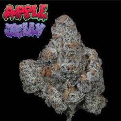 Apple Jelly #2 by PDX Organics