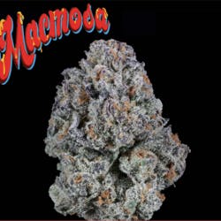 MacMosa by PDX Organics