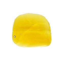 NW 1g apples & bananas SHATTER (H)
