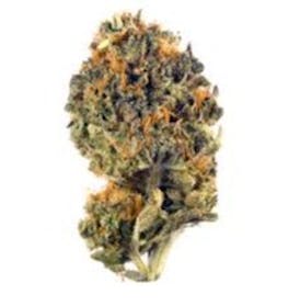 LA KUSH CAKE | FLOWER