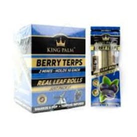 MINI KING PALM 2PK | BLUEBERRY