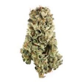 OREO BLIZZARD | FLOWER