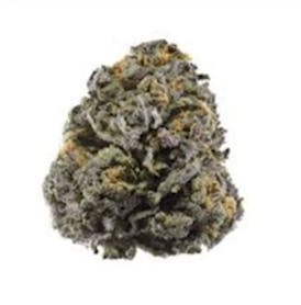 FRITTER GLITTER | FLOWER
