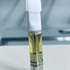 BERRY RIOT | 1G CART