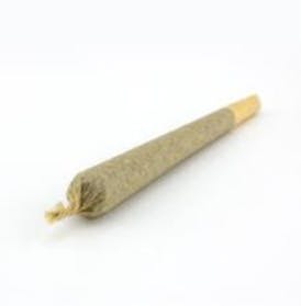 CANDY BONEZ | 1.5G KINDLE STICK