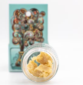 DOSI HAZE | 1G SUGAR