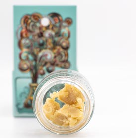 CHERRY PIE | 1G BADDER