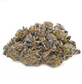 GREASE MONKEY | FLOWER