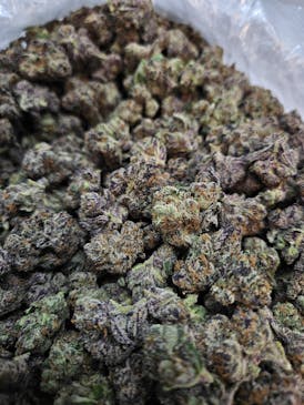 ATF | FLOWER