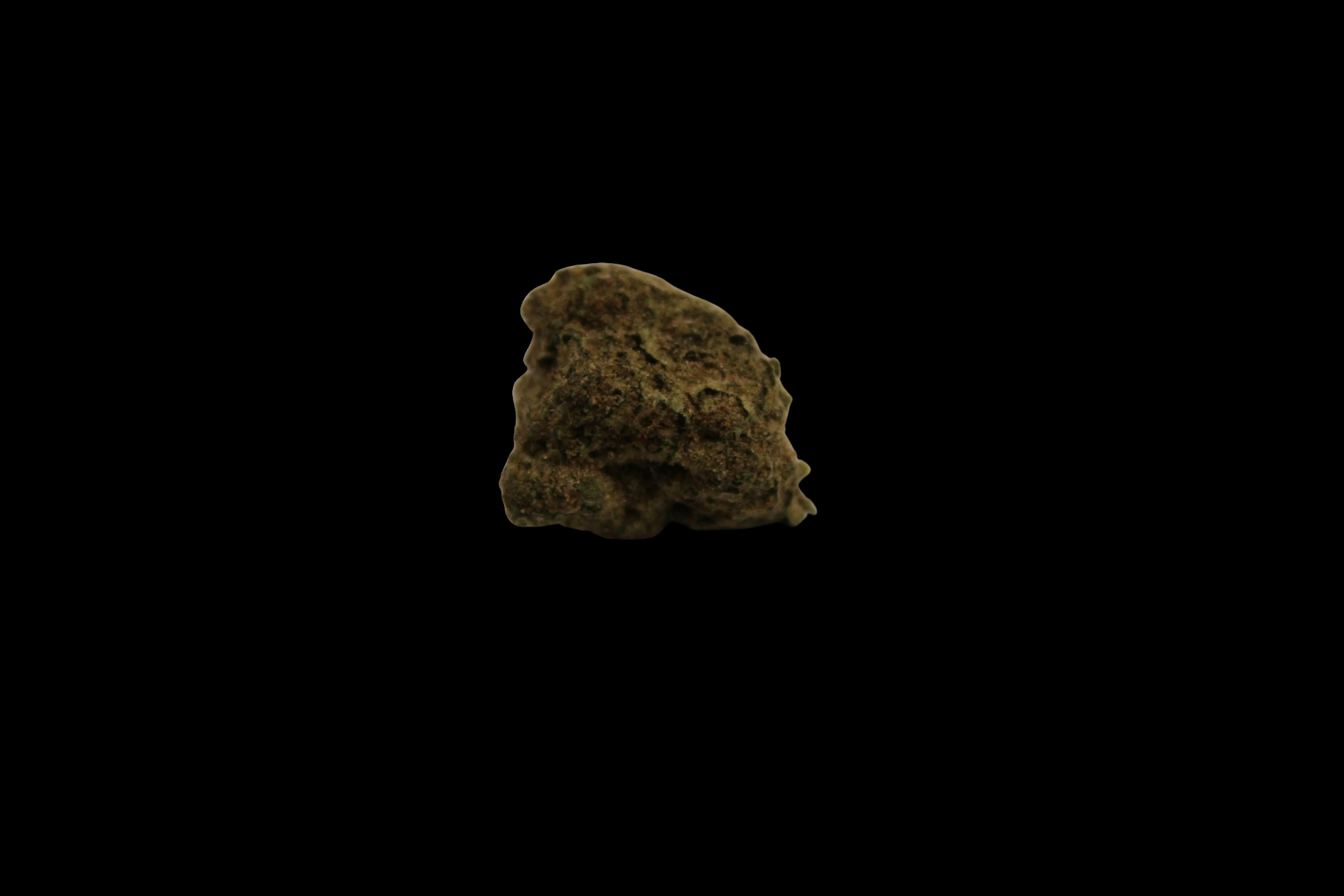 Cookie Monster