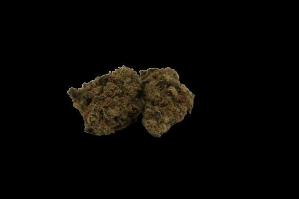 Jet Fuel Gelato