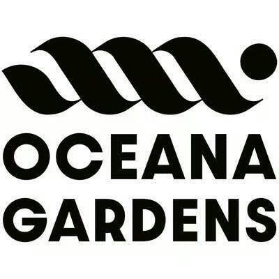 Oceana Gardens - 1g Pre Roll Bubble Hash - Maple Dream