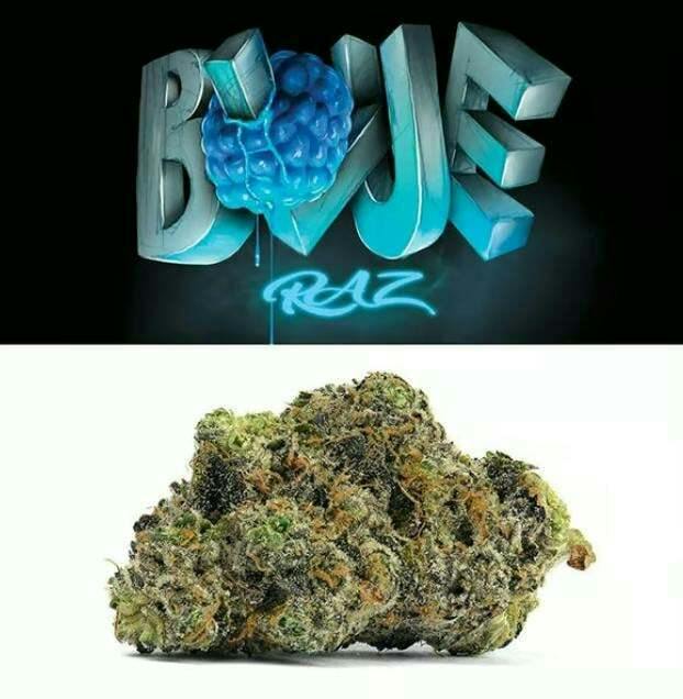 Cookies Co. - Blue Razz - 7g smalls - 7g - Hybrid