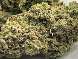Apple Fritter Flower