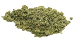 Bruce Banner Shake
