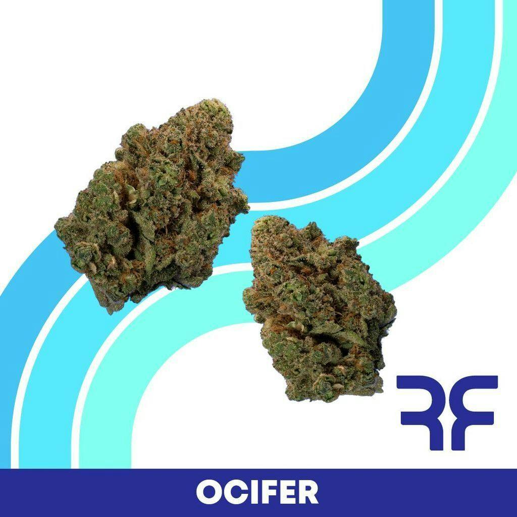 Reef Ocifer Pre-Roll Pack 0.4g ea | 5-Pack