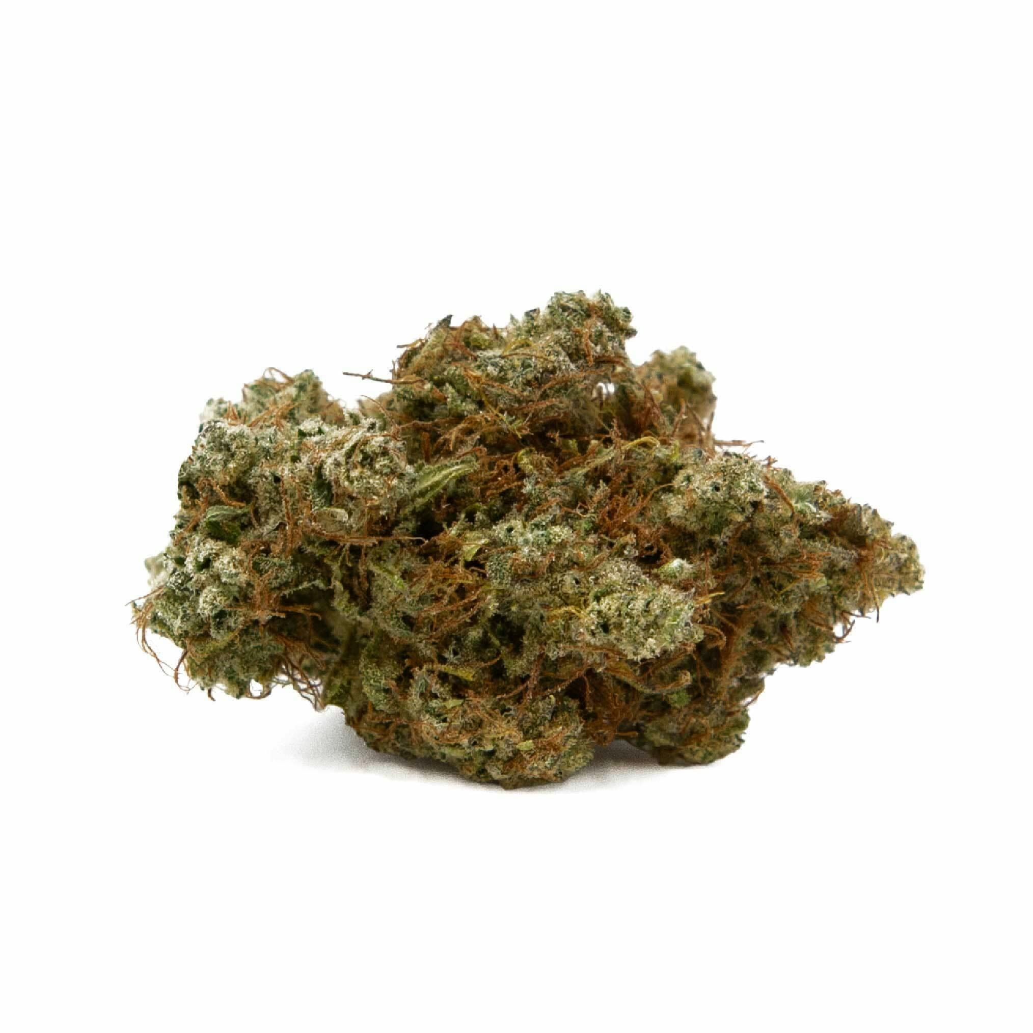 CTPharma Original Glue Whole Flower 26.03 % (I) 3.5g - 27144 at Trulieve Bristol Dispensary