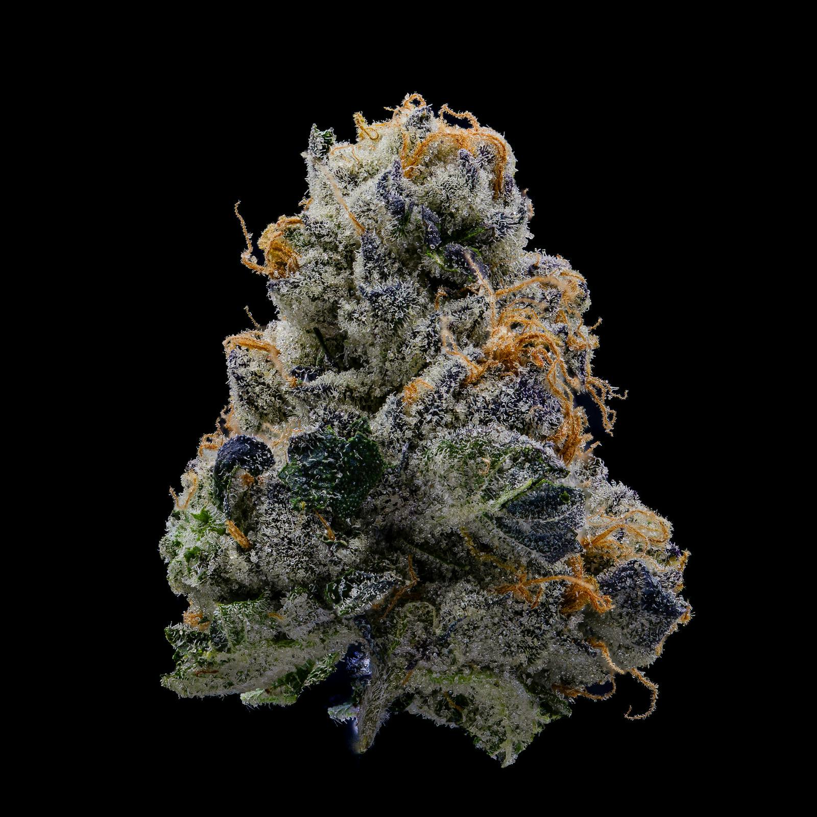 Wedding Fuel (Indica)