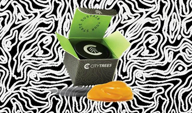 City Trees Mai Tai Cake Batter - 1 g at Greenleaf Wellness Cannabis Weed Dispensary Reno