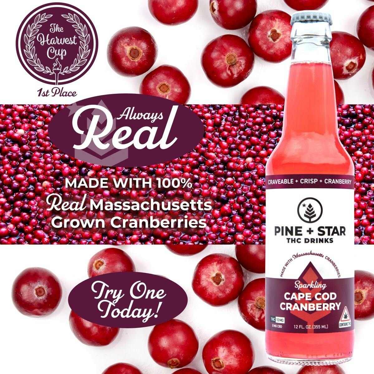 Pine & Star Apple Cinnamon - 10mg THC