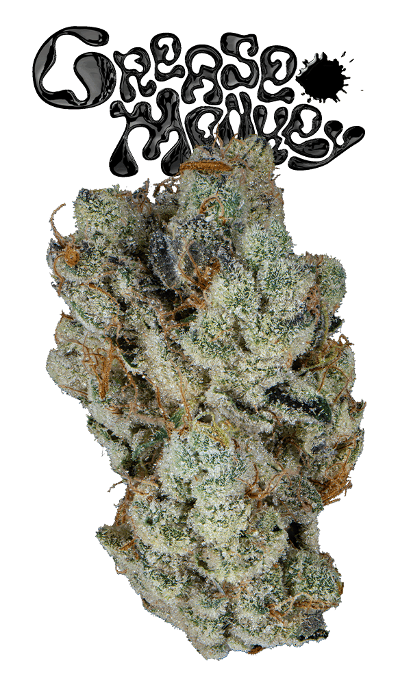 Grease Monkey Glass