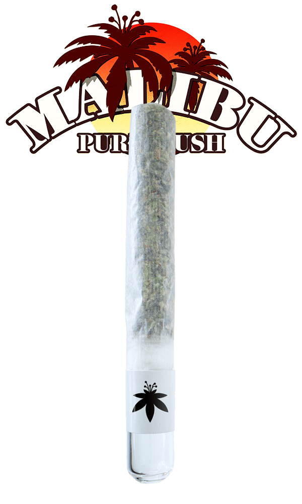 Flowery Handroll Malibu Pure Kush