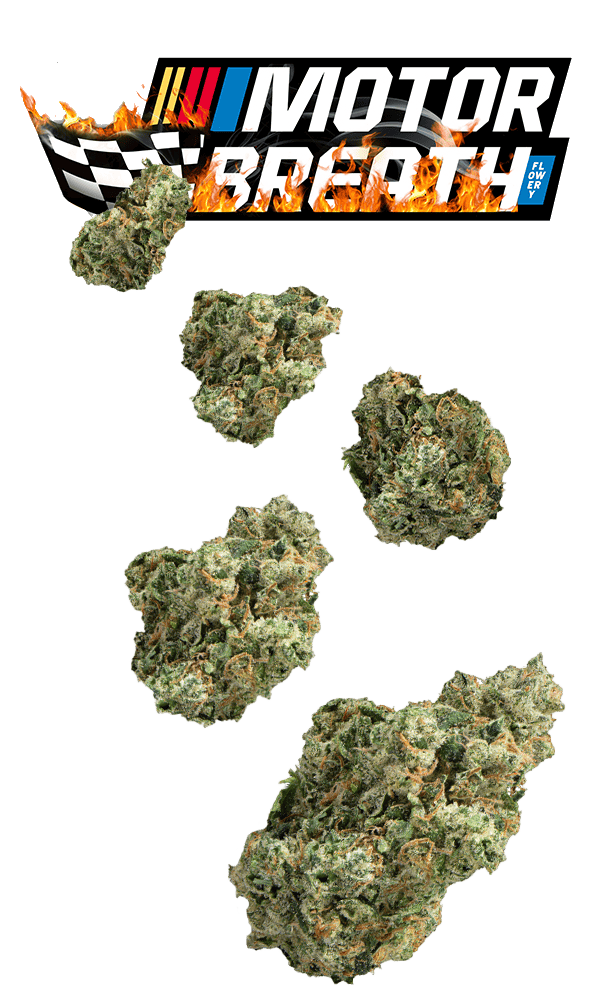 Motorbreath #15 7g Juniors