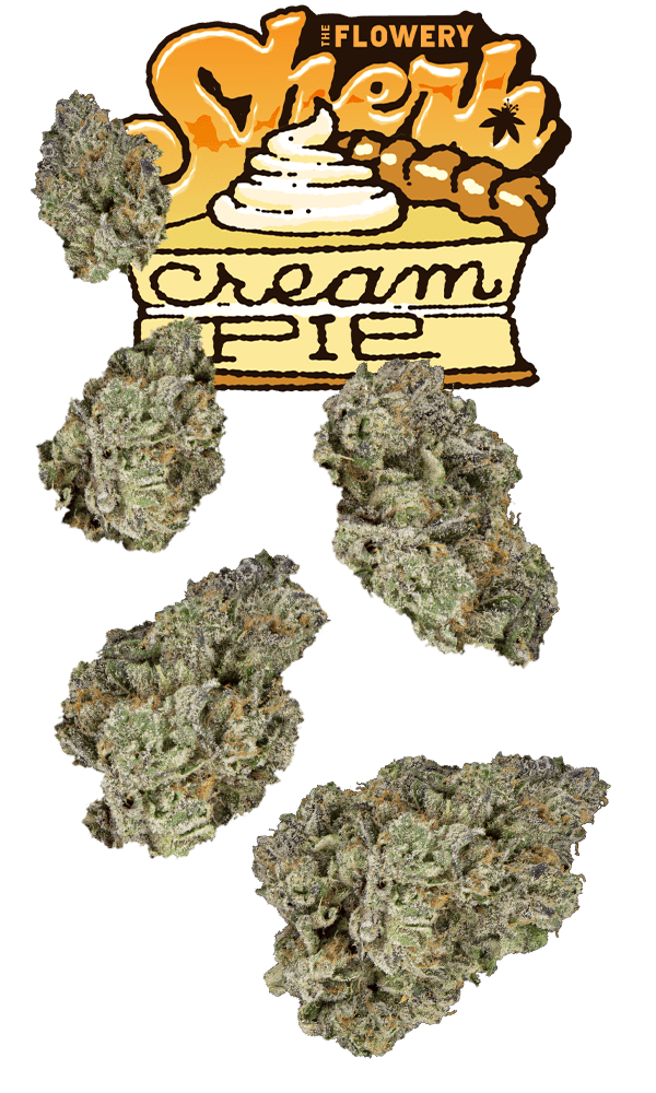 Sherb Cream Pie Juniors